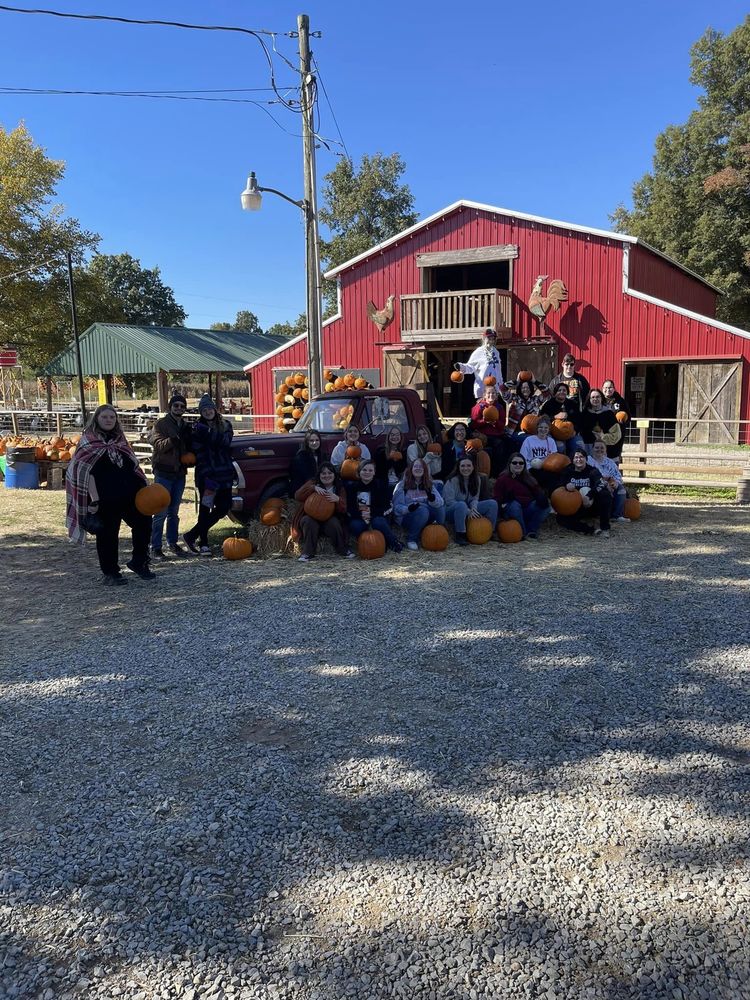 Art Club Pumpkin Carving Marmaduke High School